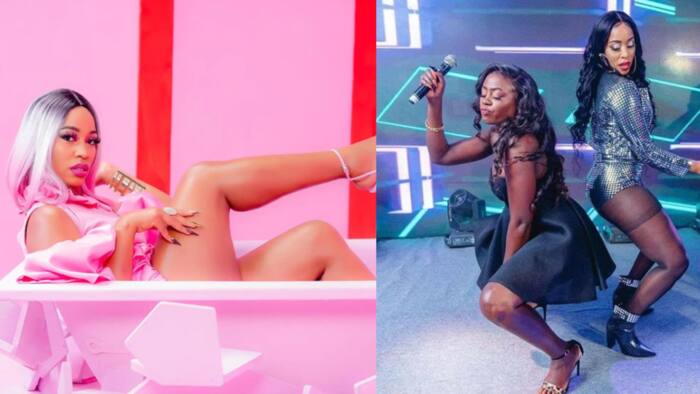 Akothee Supports Diana Marua's Venture Into Music, Compliments Her Outfit: “Shoot Your Shot”
