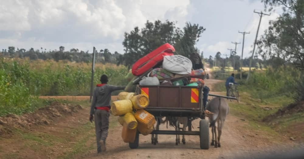 Residents flee the Olmoran area in Laikipia. Photo: Laikipia County Gov't.