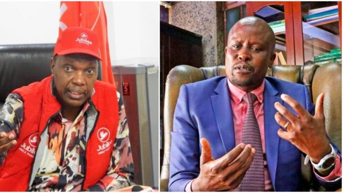 Tribunal Throws Out Jeremiah Kioni's Appeal with Costs, Confirms Kanini Kega as Jubilee Party SG