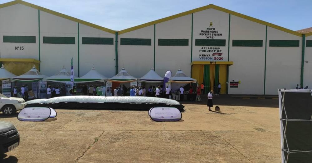 Farmers at an NCPB warehouse.