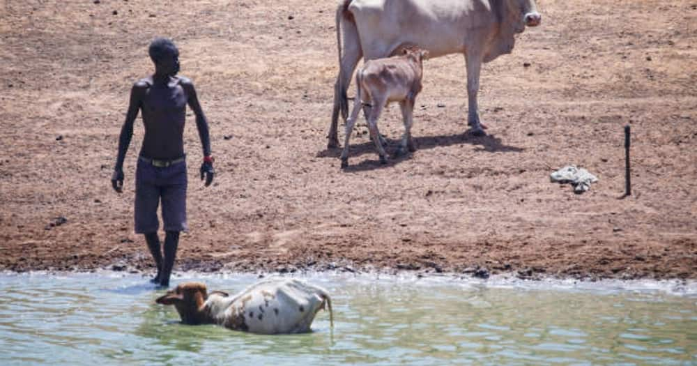 Hunger and starvation