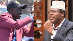 2022 General Election: Miguna Miguna Says William Ruto Will Defeat Raila Odinga by 10am