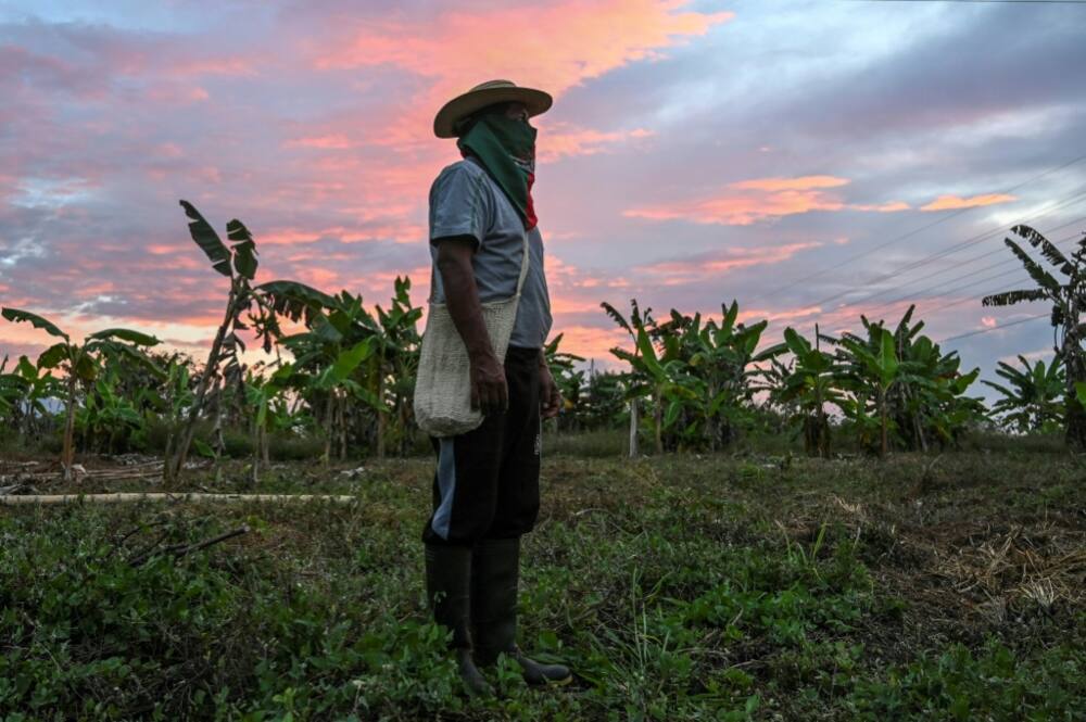 A Nasa indigenous man is pictured at an occupied property in Corinto, department of Cauca, Colombia