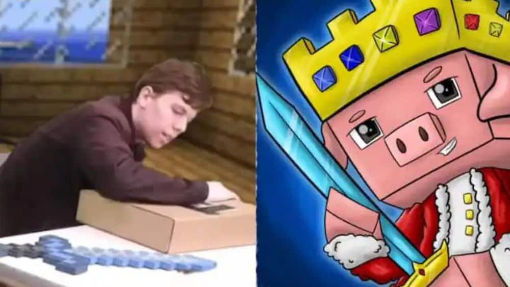 Technoblade, Minecraft r, Dead at 23 After Cancer Battle