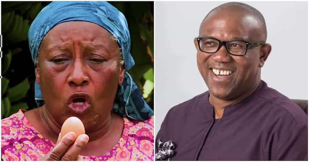 Patience Ozokwo, Peter Obi