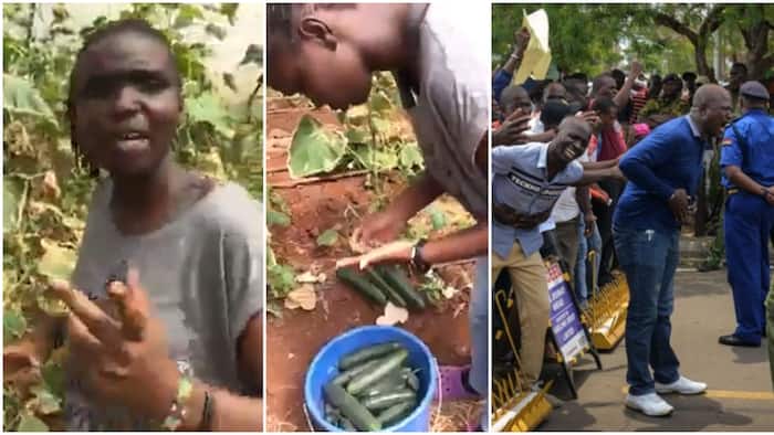 Twitter Video of Lady Rapping About Social Injustices While Farming Goes Viral: "Reality Ya Kenya"