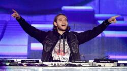 Zedd net worth 2021: Is he the richest DJ in the world?