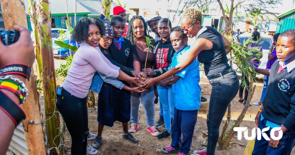 TUKO.co.ke team plant trees at Butterfly Care Centre