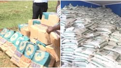 Food Crisis Watch: Frustration, Bribery Claims Rock Subsidised Fertiliser Distribution in Kakamega