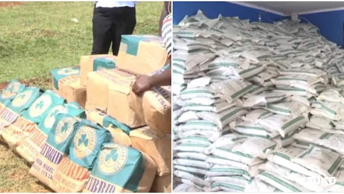 Food Crisis Watch: Frustration, Bribery Claims Rock Subsidised Fertiliser Distribution in Kakamega