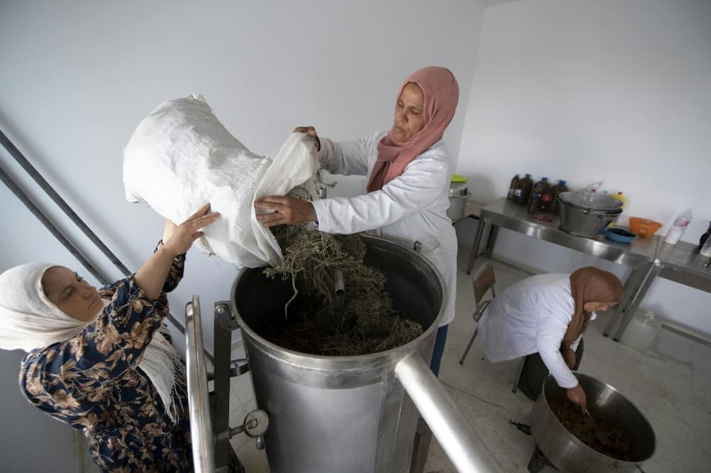 Women work in a cooperative for the production of essential oils from wild plants