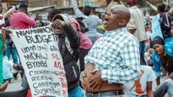 Kenyans Petition William Ruto's Gov't to Lower Food Prices: "We Want Unga at KSh 60"