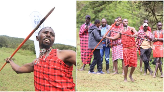 Masai Mara Morans Become Global Sensations for Their Javelin Throwing Talents: "Kama Julius Yego"