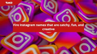 400 Instagram names for black girls to get more followers - Tuko.co.ke