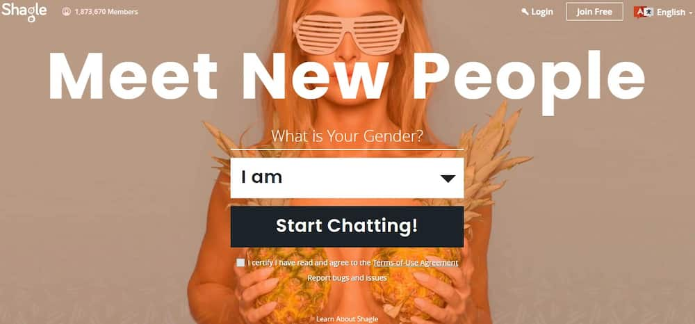 10 best Chatroulette alternatives in 2019