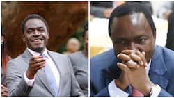 Nelson Havi: Wiper Chose Mike Sonko for Mombasa Gubernatorial Seat Because He Has Money