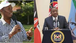Raila ni Project ya Rais Kenyatta, William Kabogo Asema