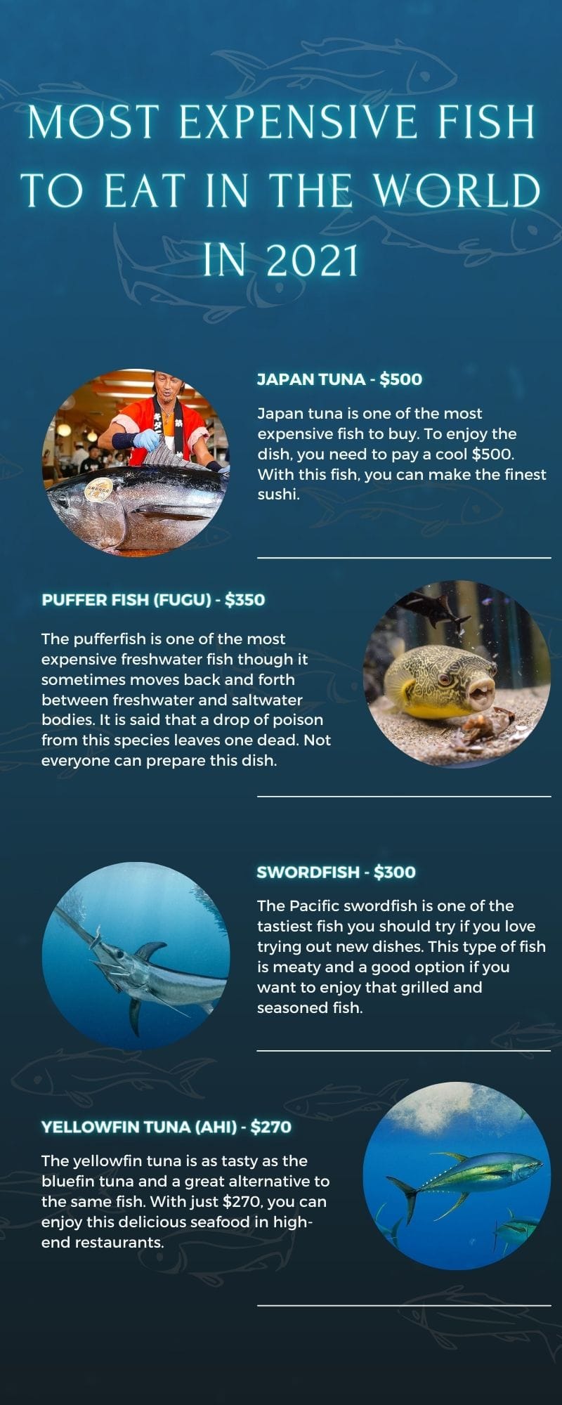 top 10 most expensive fish to eat