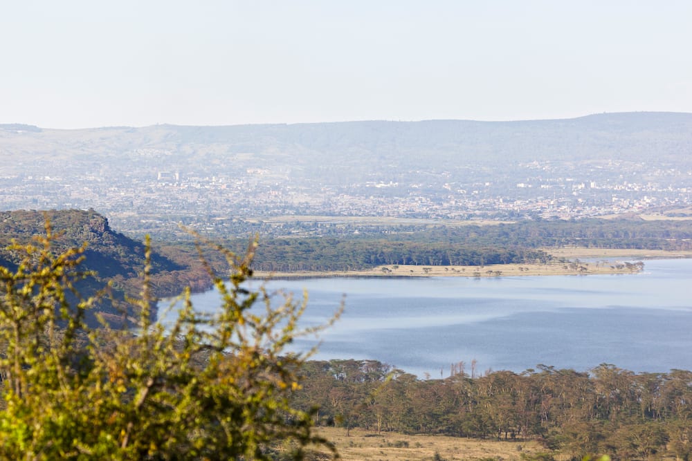 Nakuru postal code