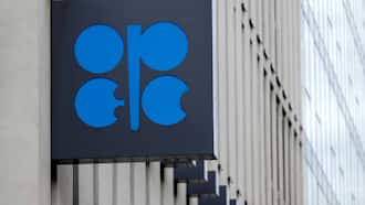 OPEC+ expected to slash oil output