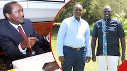 Ukambani MP Tells Kalonzo Musyoka To Join William Ruto's Camp: "He Can't Manage Campaign Budget"