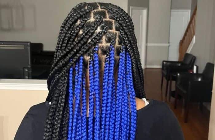 Black and blue braids
