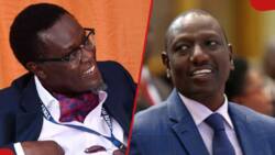 Mutahi Ngunyi Backs Cherargei's Proposal to Increase Presidential Term Limit: "10 Years Too Short"