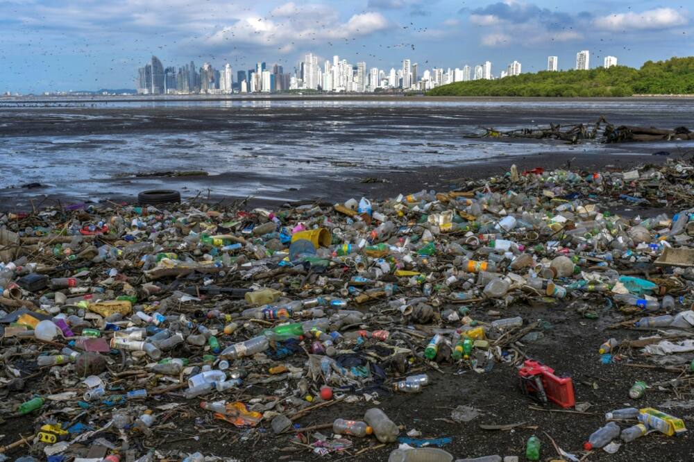 On current trends, pollution and overfishing could see as much plastic in the oceans as fish by mid-century