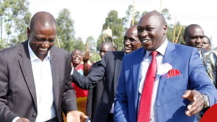 Joshua Kutuny Lands Plum Job in William Ruto's Gov't in Latest Appointments
