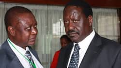Raila Odinga Endorses Brother Oburu Oginga for Siaya Senatorial Seat: "It Needs Experience"