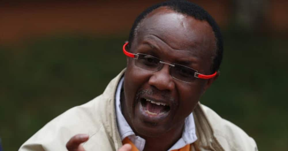 "Woman of Firsts": David Ndii's Wife Mwende Paints Rosy CV as She Eyes Kiambu Governor's Seat