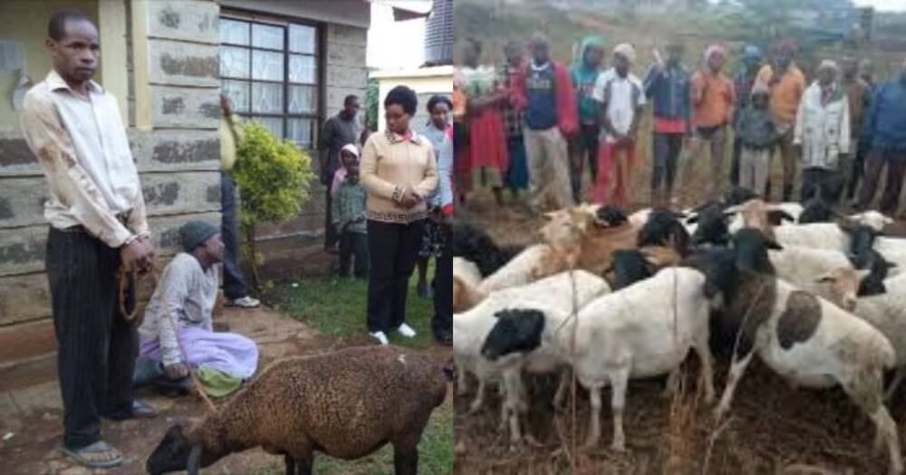 Man caught stealing sheep. Photo: Ndumba wa Ndumba.