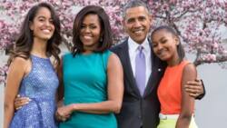 Check out the Obamas' final White House Christmas Card - It's stunning
