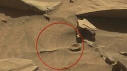 This was found on Mars - And the whole world is shocked! (PHOTOS)