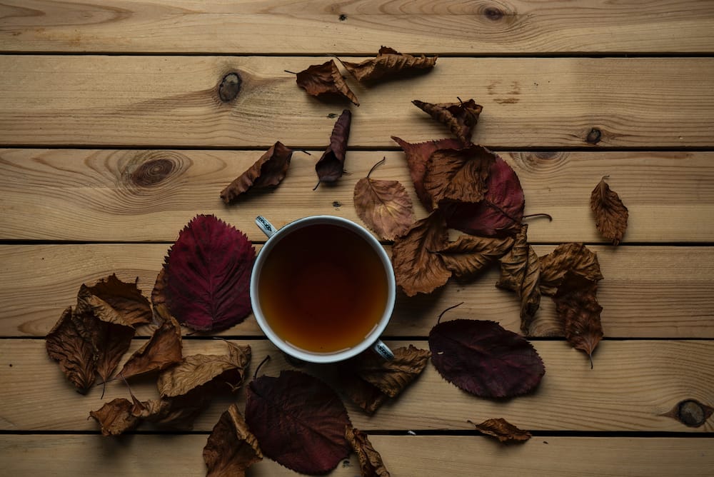 Can you drink tea while intermittent fasting?