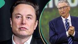Full List, Net Worth: Elon Musk Leads List of 10 Richest Men in The World in 2024