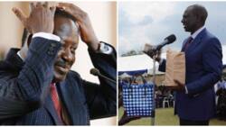 Raila Aonya Wakaazi wa Mlima Kenya Dhidi ya Kumchagua DP Ruto: "Minofu ya Kuwapumbaza"