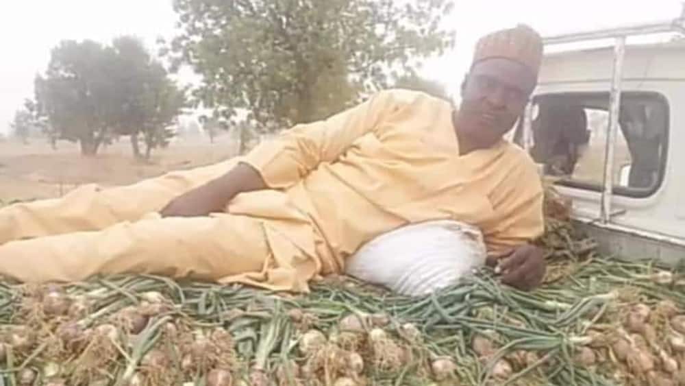 Ibrahim Umara, had a big harvest.