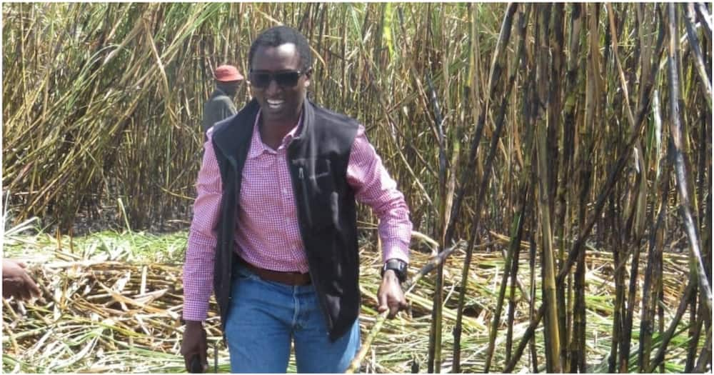 Eldoret tycoon Buzeki Bundotich could lose assets to auctioneers over KSh 118 million debt