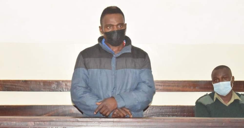 A logger in Nairobi court will serve one year in jail should he fail to pay KSh 100,000 fine.