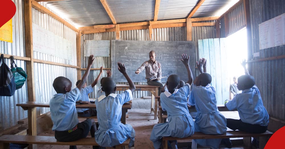 Primary school pupils raise hands during a class session.