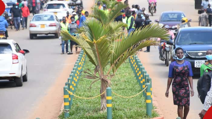 George Natembeya Orders All Business Premises in Kitale to Be Painted Green