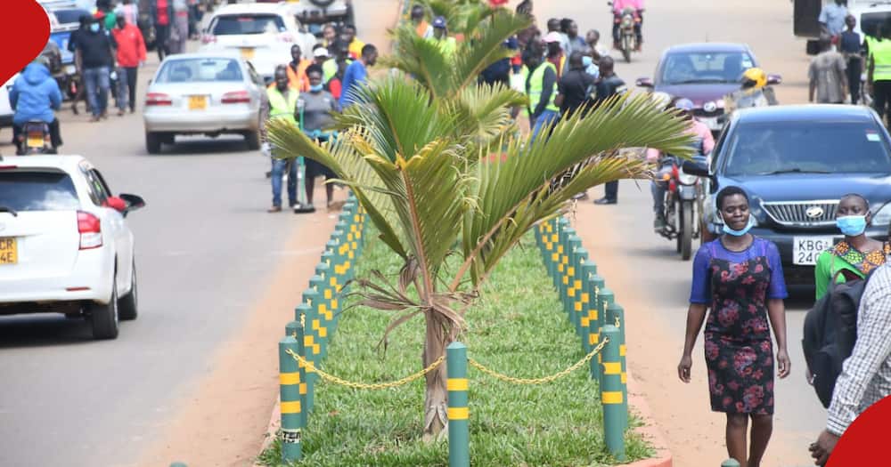 Kitale Town will be painted green as per Natembeya's orders.
