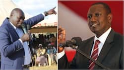 William Ruto anafaa kujiuzulu kwa kukaidi amri ya Uhuru - Joshua Kuttuny