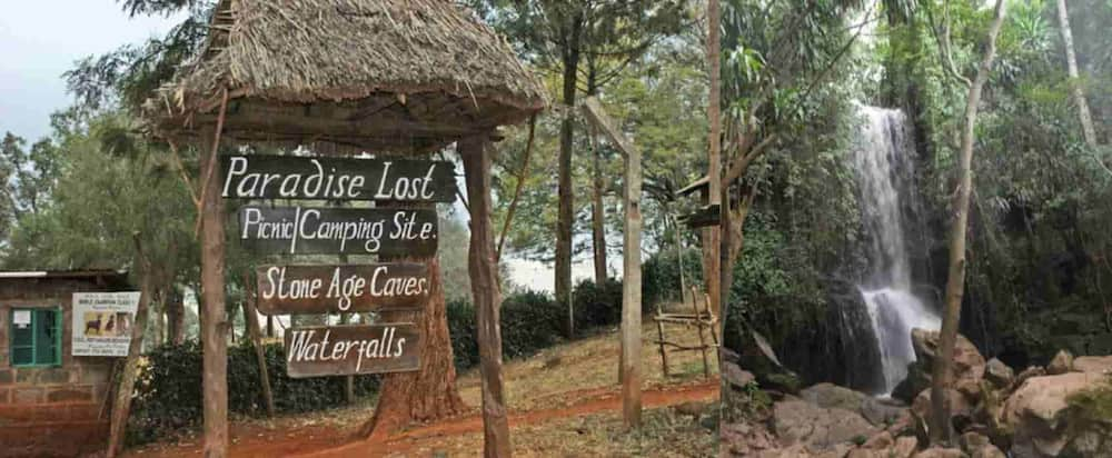 Deceased billionaire Mbugua Mwangi's sons in fight over Paradise Lost property. Photo: NMG