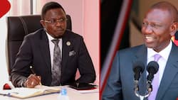 Cabinet Reshuffle: Ruto Plucks Arts Docket from Ababu Namwamba's Ministry after Public Outrage