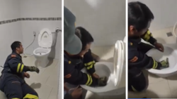 Man Catches Snake in Viral Video That Has the Internet Horrified as Serpent Is Seen Inside Toilet Bowl