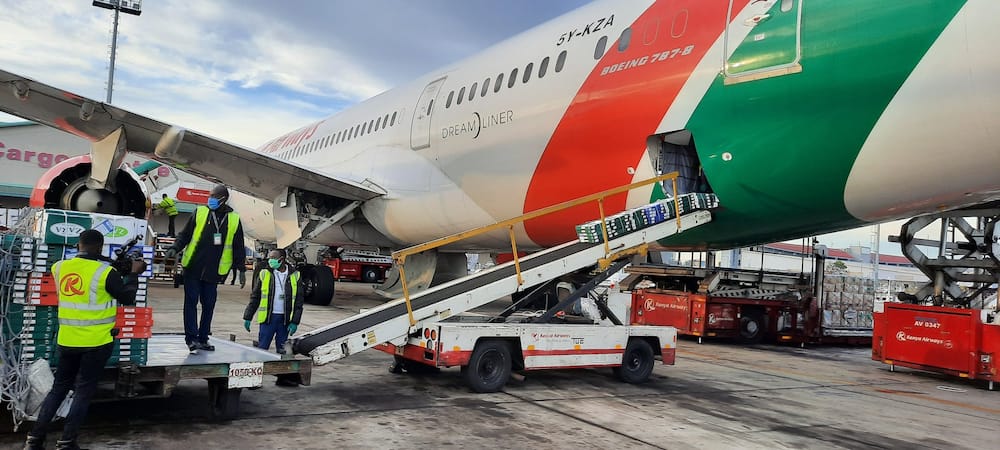 KQ converts 4 wide-body aircraft to cargo planes to tap in freight revenue