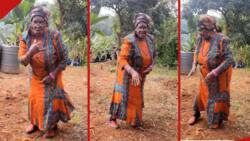 Granny Pulls Off Incredible Kikuyu Rap at Event, Stuns Guests with Hand Gestures: "Wahu"