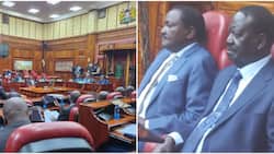 Raila, Karua, Kalonzo Attend Parliamentary Hearing of IEBC Officials Ouster